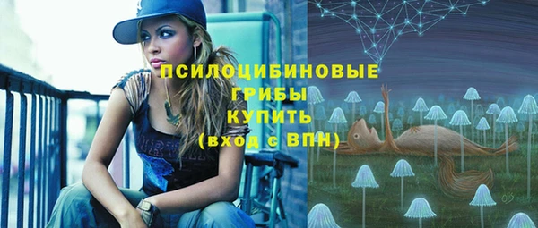прущий лед Арсеньев
